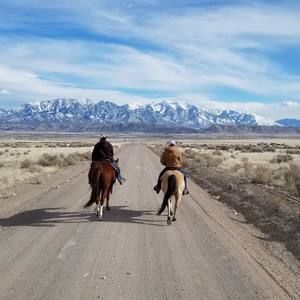 Meet your Posher, Laurice